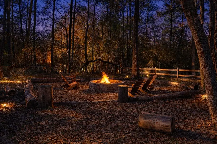 24102 Baneberry Road, Magnolia, TX 77355 - Image #3