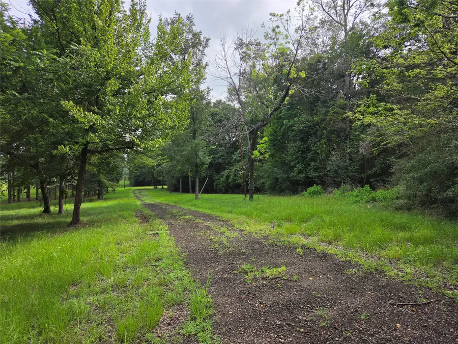 3088 County Road 2565 N, Colmesneil Chester, TX 75979 - #2