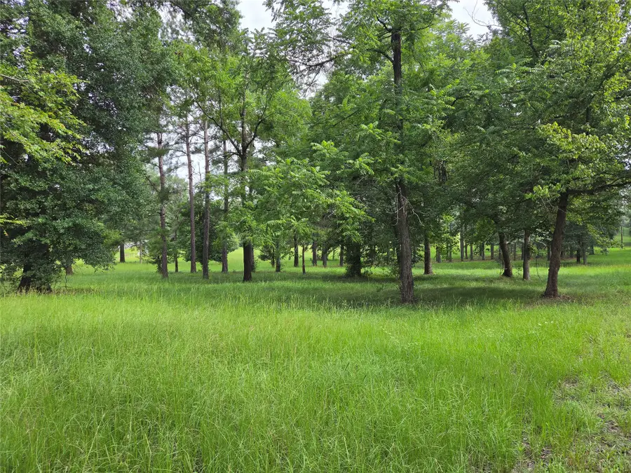 3088 County Road 2565 N, Colmesneil Chester, TX 75979 - #3