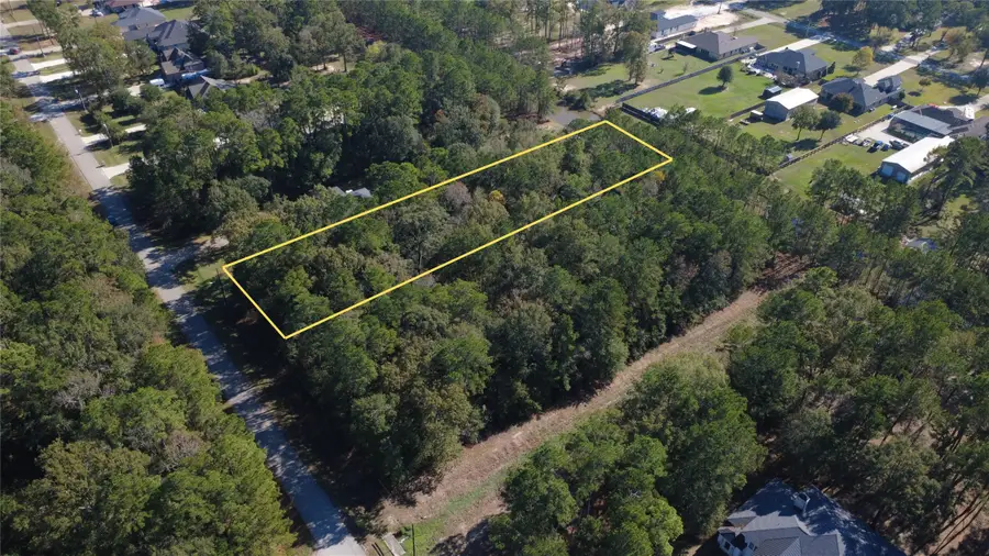 23080 Volga Drive Drive, Porter, TX 77365 - Image #3