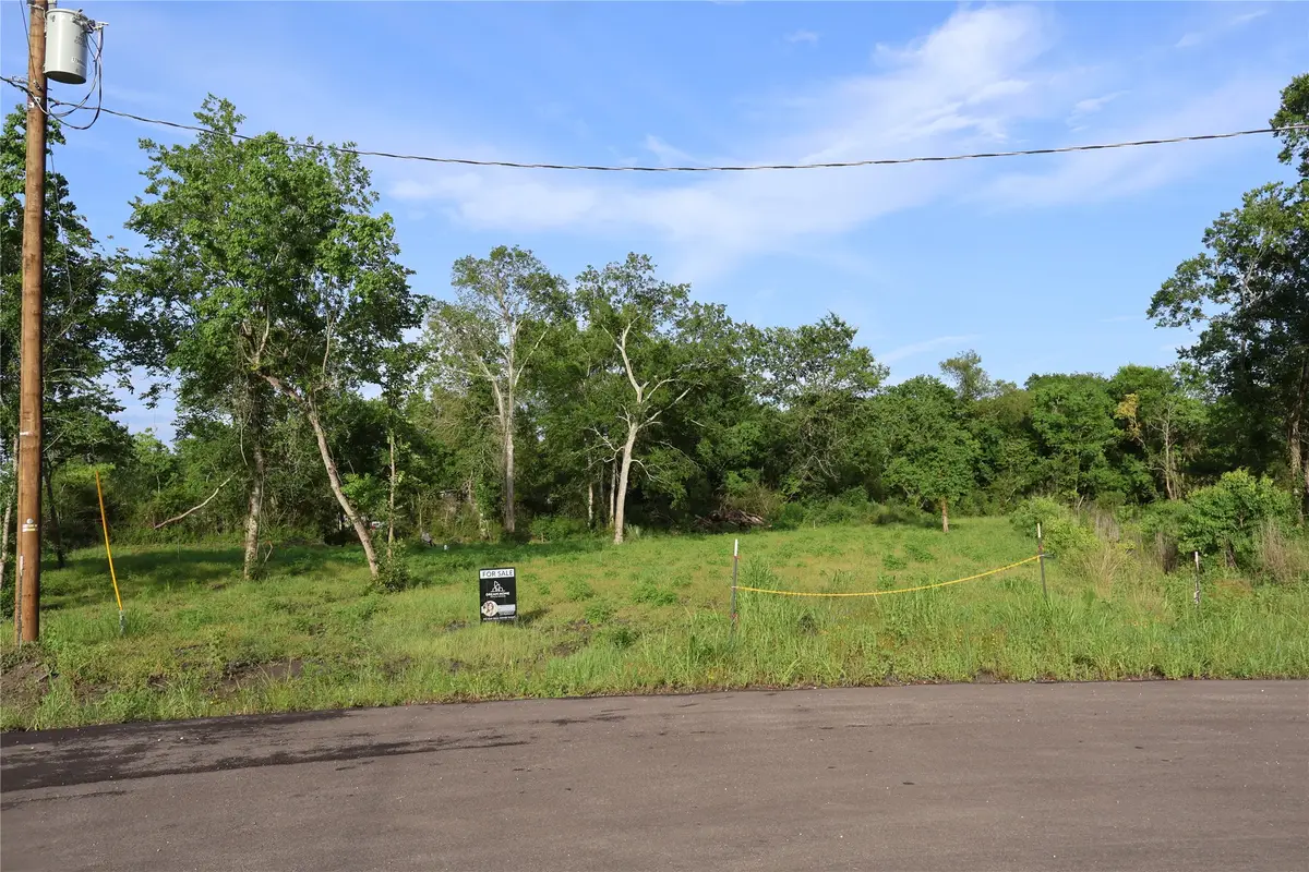 496 Road 48619, Dayton, TX 77535 - #1