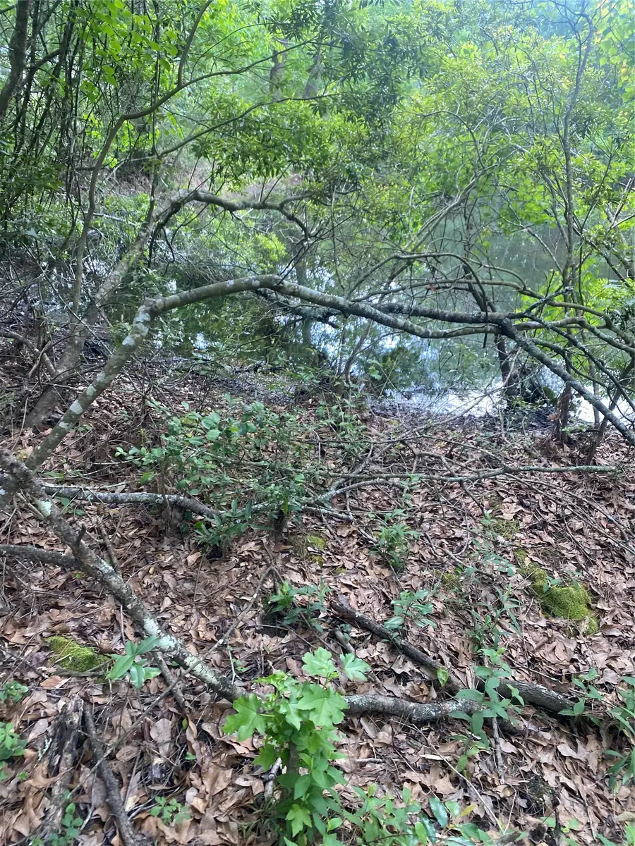 TBD Drivers Road, Splendora, TX 77372 - #3