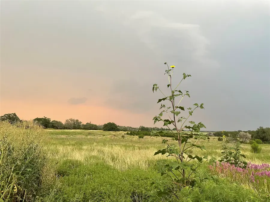 428 County Road 326a, Bertram, TX 78605 - #2
