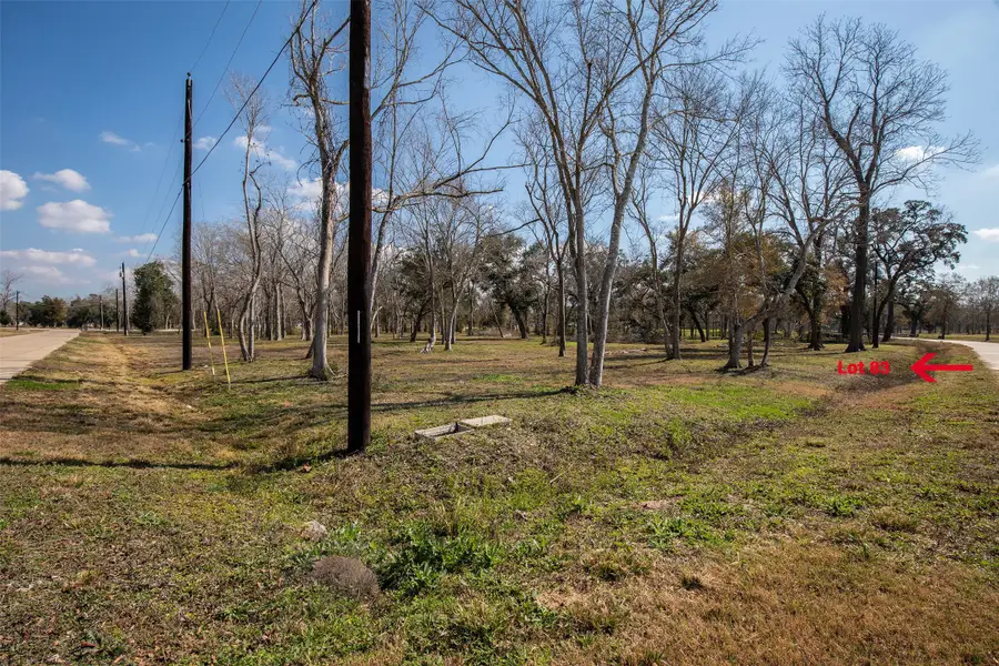4707 Shadow Pond Lane, Alvin, TX 77511 - #3
