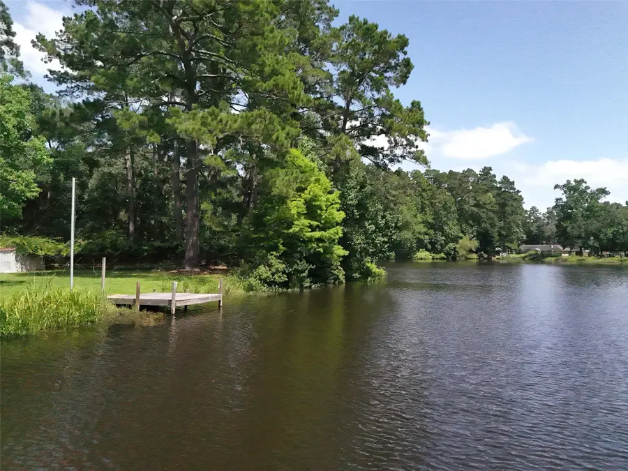 18755 Mink Lake Drive, Magnolia, TX 77355 - #3