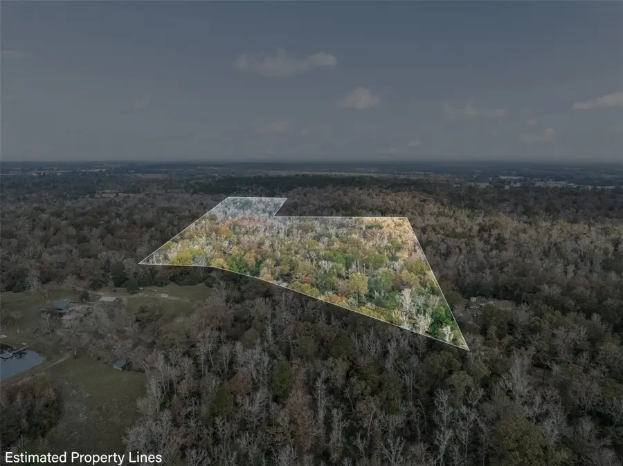 TBD County Road 294, Oakwood, TX 75855 - Image #2