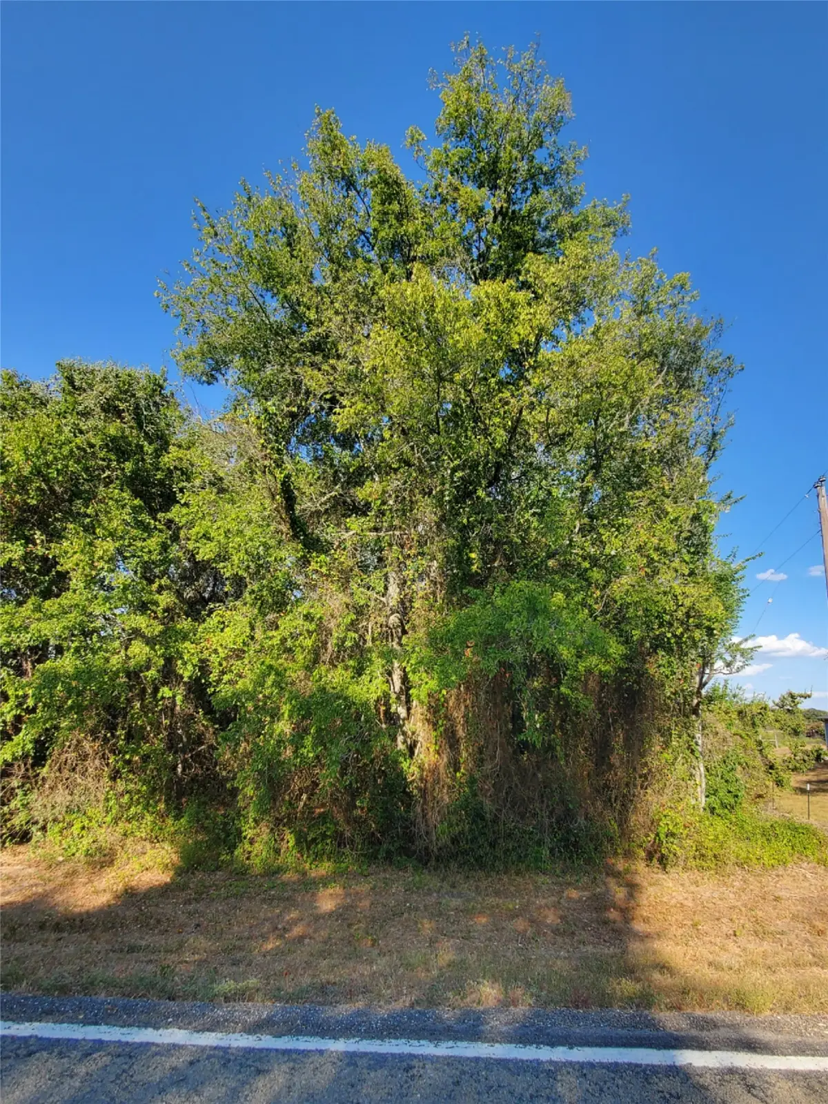 8166 Fm 1362 N, Caldwell, TX 77836 - #1