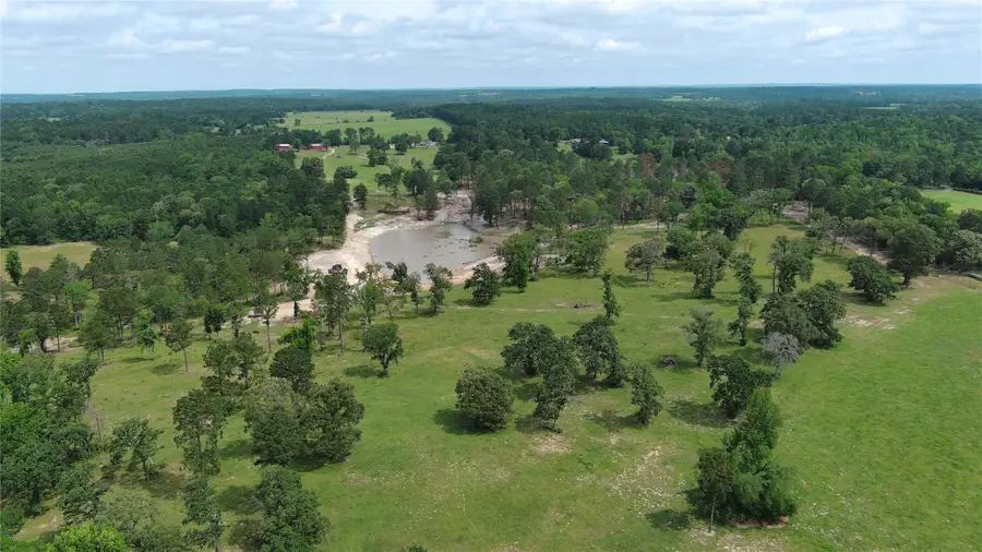 6099 Fm 227 W, Grapeland, TX 75844 - #3