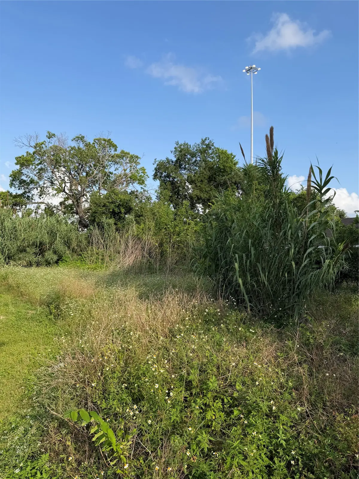 2010 Brackenridge Lot A Street, Houston, TX 77026 - #1