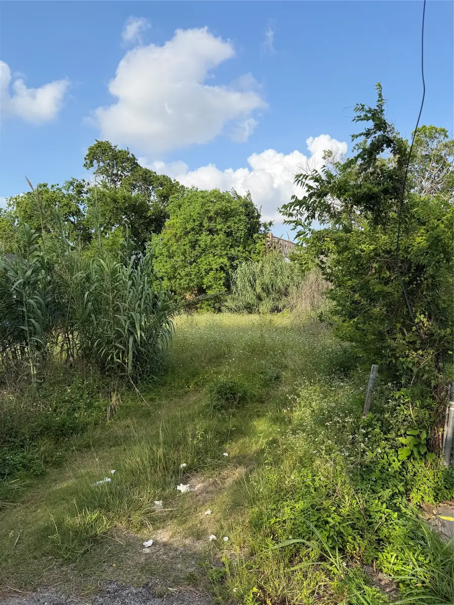 2010 Brackenridge Lot A Street, Houston, TX 77026 - #2