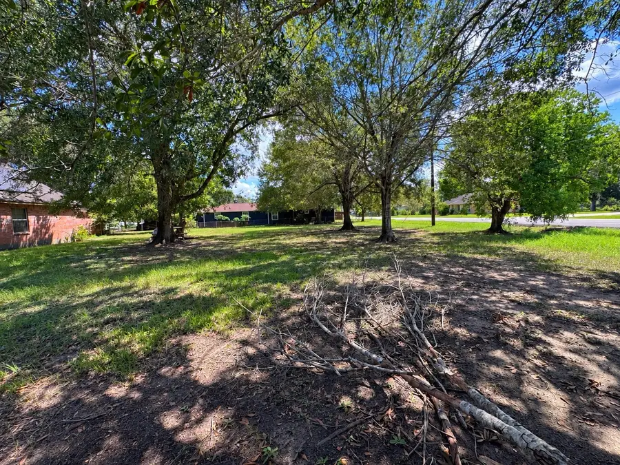 000 Elizabeth Ave, Rosenberg, TX 77471 - #3