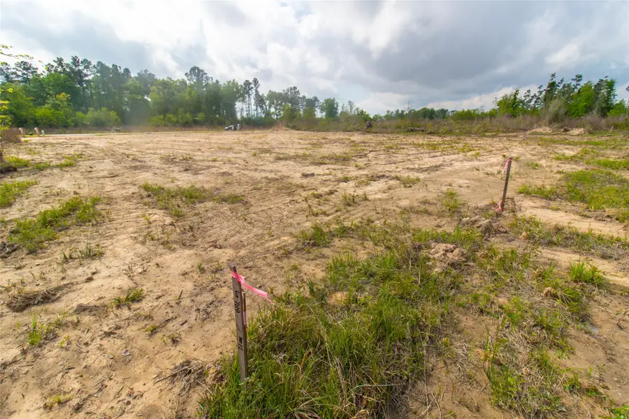 1289 Road 5883, Cleveland, TX 77327 - #3