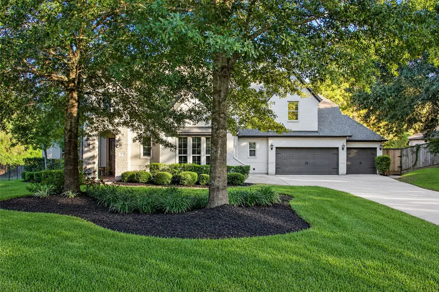 110 Pickerel Point, Montgomery, TX 77316 - #2