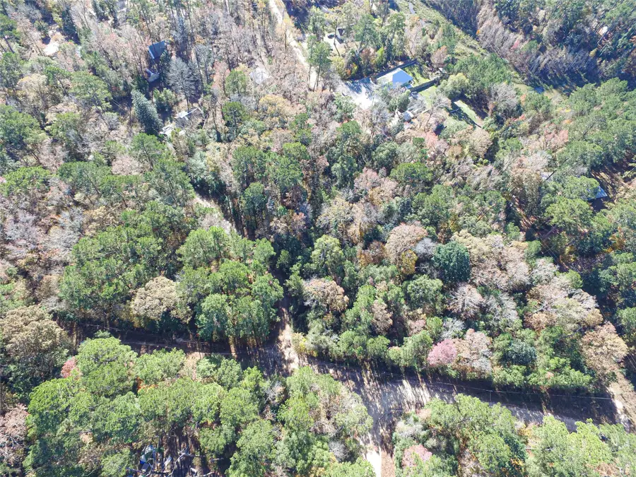 TBD Jimmy Rodgers Street, Livingston, TX 77351 - Image #3