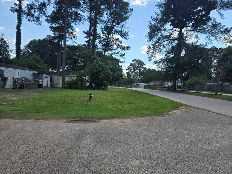 16725 E Dounreay, Montgomery, TX 77316 - #2