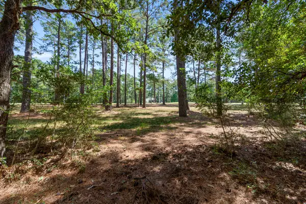 37432 Clubhouse Lane, Montgomery, TX 77355