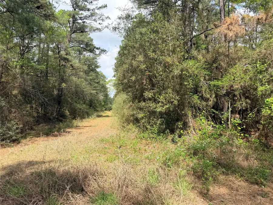 4341 & 4365 North Oaks, Navasota, TX 77868 - #3