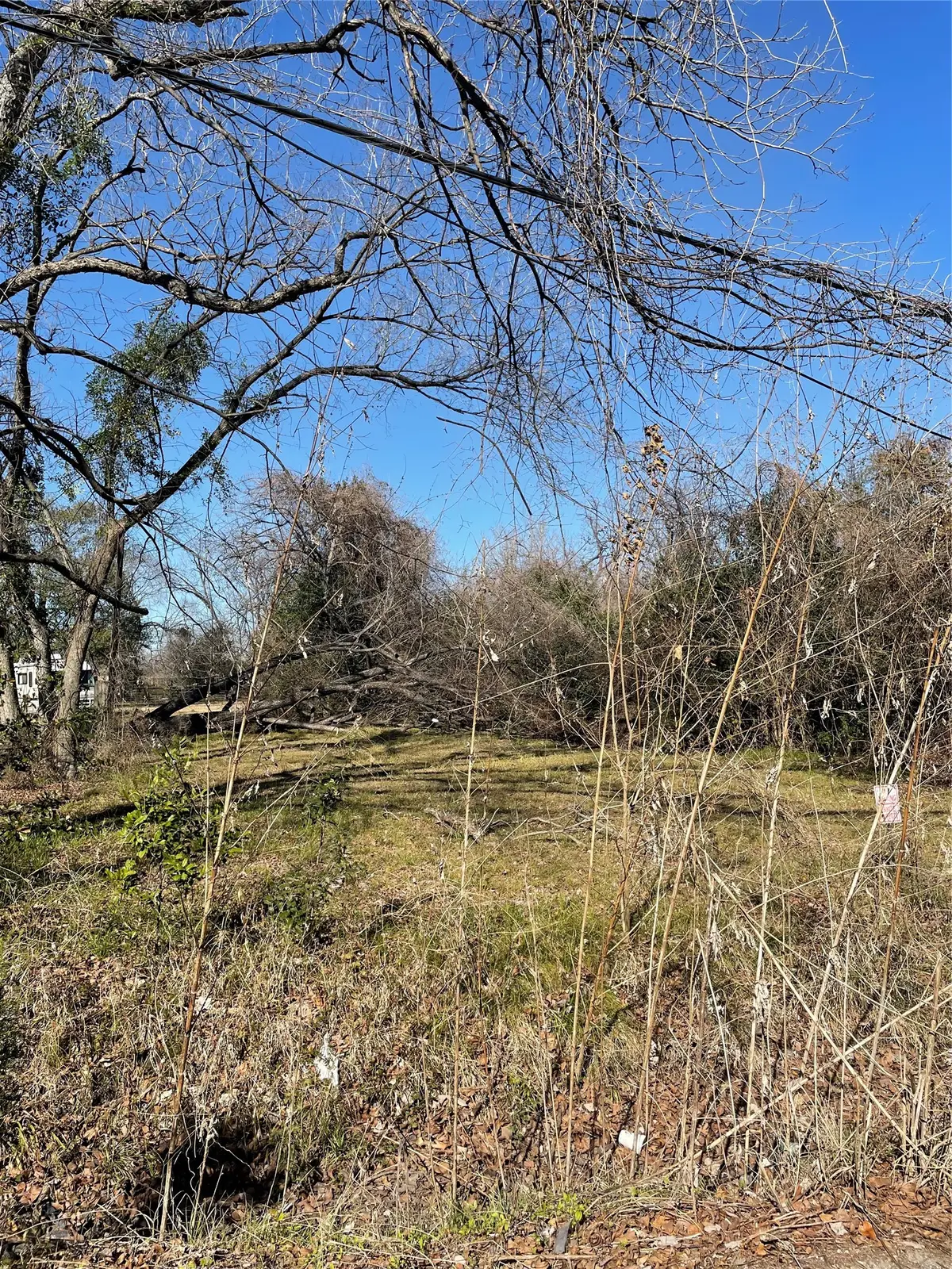 0 Davidson Street, Houston, TX 77091 - #1