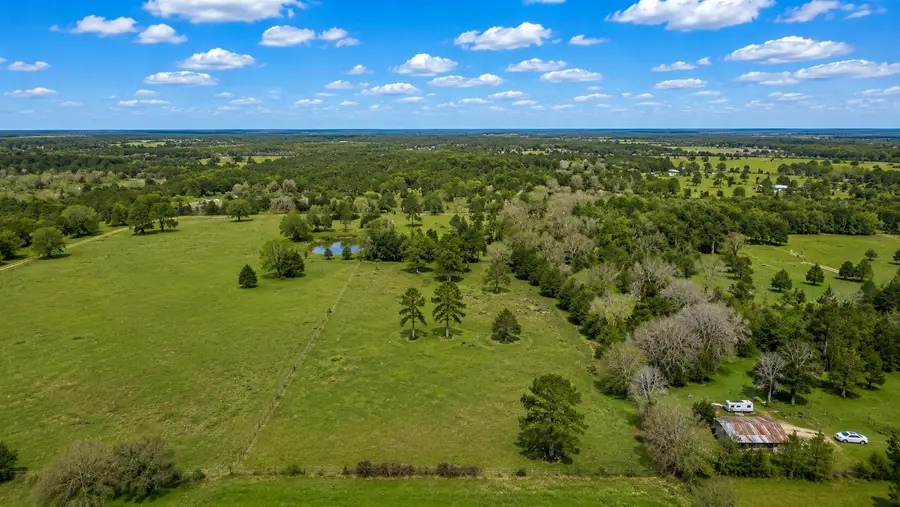 24784 Bailey Grove Road, Montgomery, TX 77356 - #2