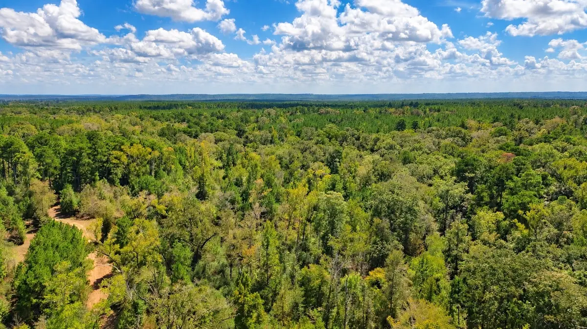 108241000 County Road 2913, Alto, TX 75925 - #1