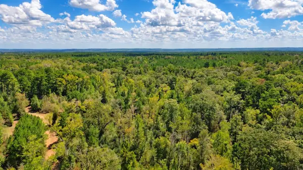 108241000 County Road 2913, Alto, TX 75925