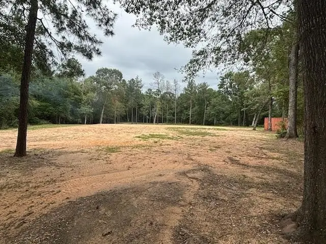 28171 Joseph Rd, Hockley, TX 77447 - #1