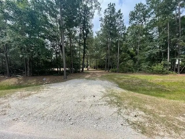28171 Joseph Rd, Hockley, TX 77447 - #2
