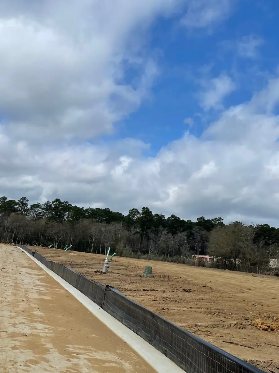 11683 Ruffian Drive, Willis, TX 77318 - Image #3