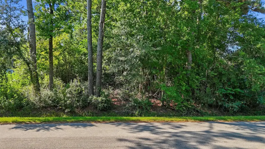 2202 Hickory Manor Drive, Huffman, TX 77336 - #2
