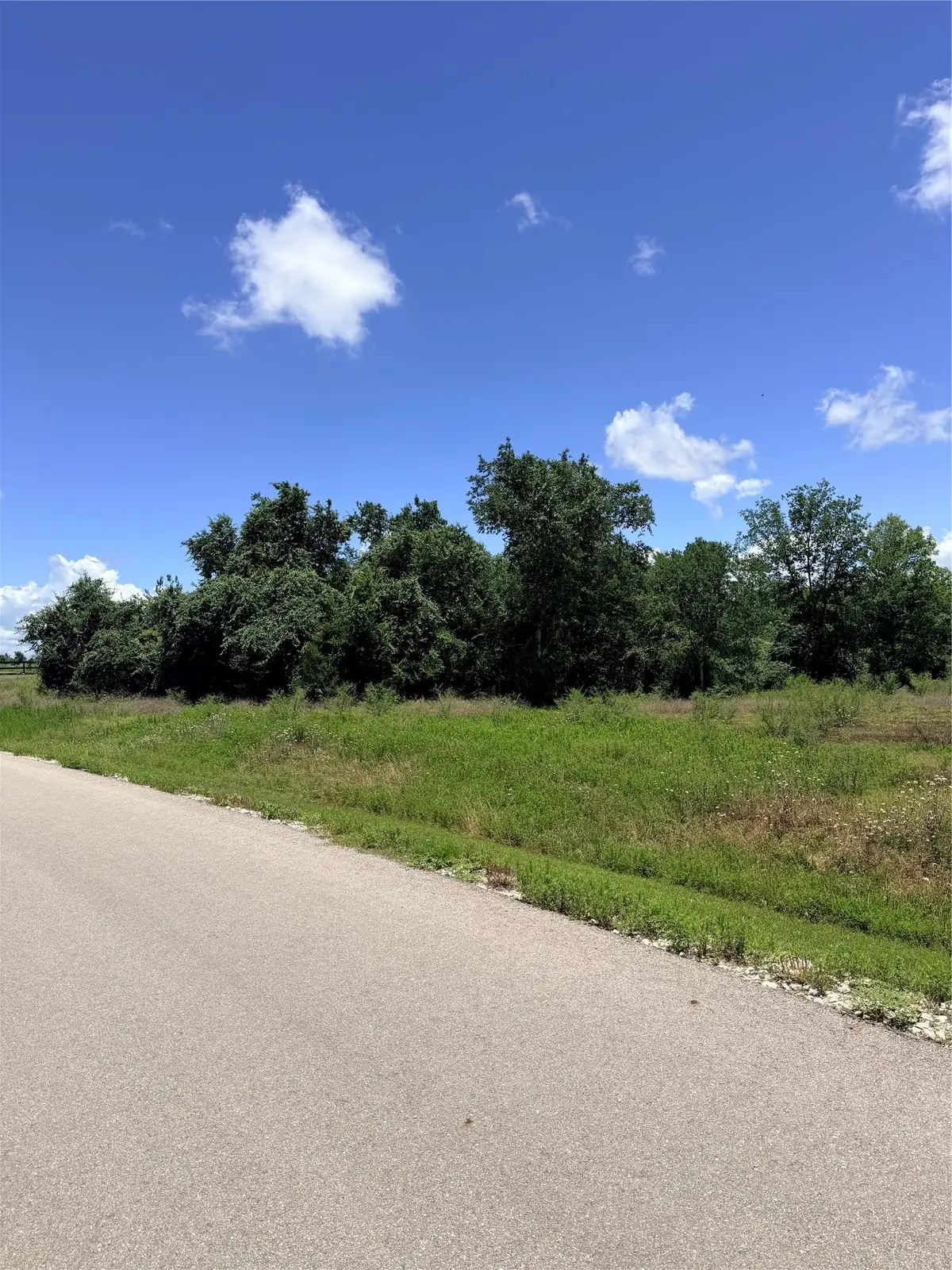 Lot 35 Winding Branch, Chappell Hill, TX 77426 - #1