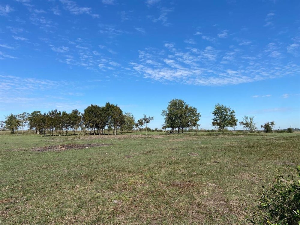 1 Caney Creek Road, Chappell Hill, TX 77426 ERA