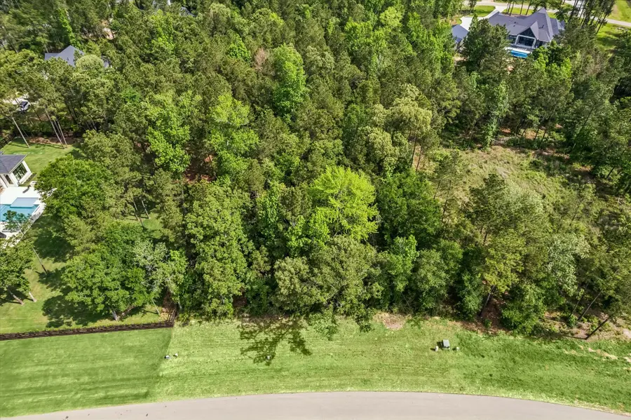 7712 Dog Wood Acres Drive, Montgomery, TX 77316 - #2
