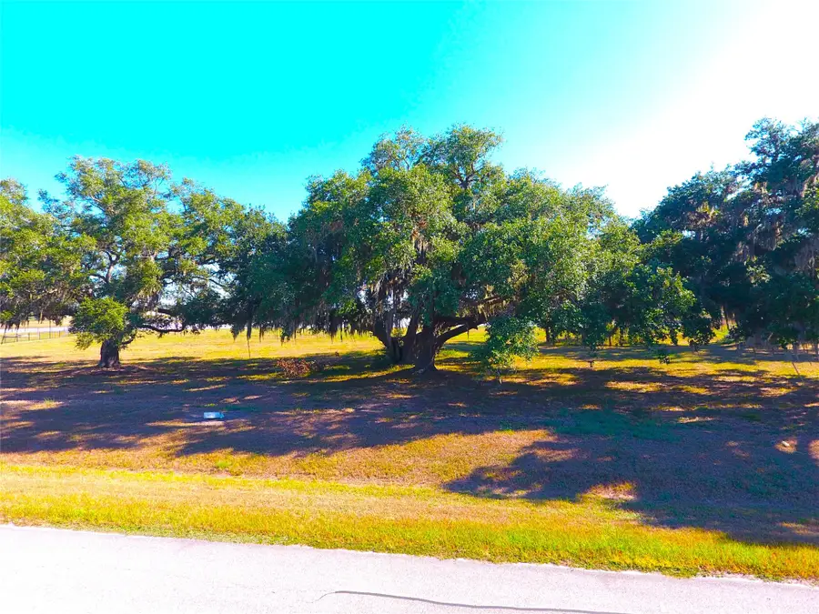 615 Lily Lane, Rosharon, TX 77583 - #2