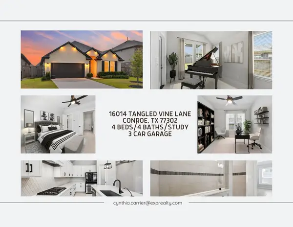 16014 Tangled Vine Lane, Conroe, TX 77302