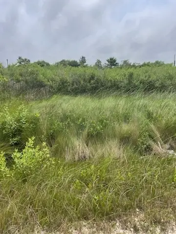 0 S Sonny Ln, Galveston, TX 77554 - Image #2