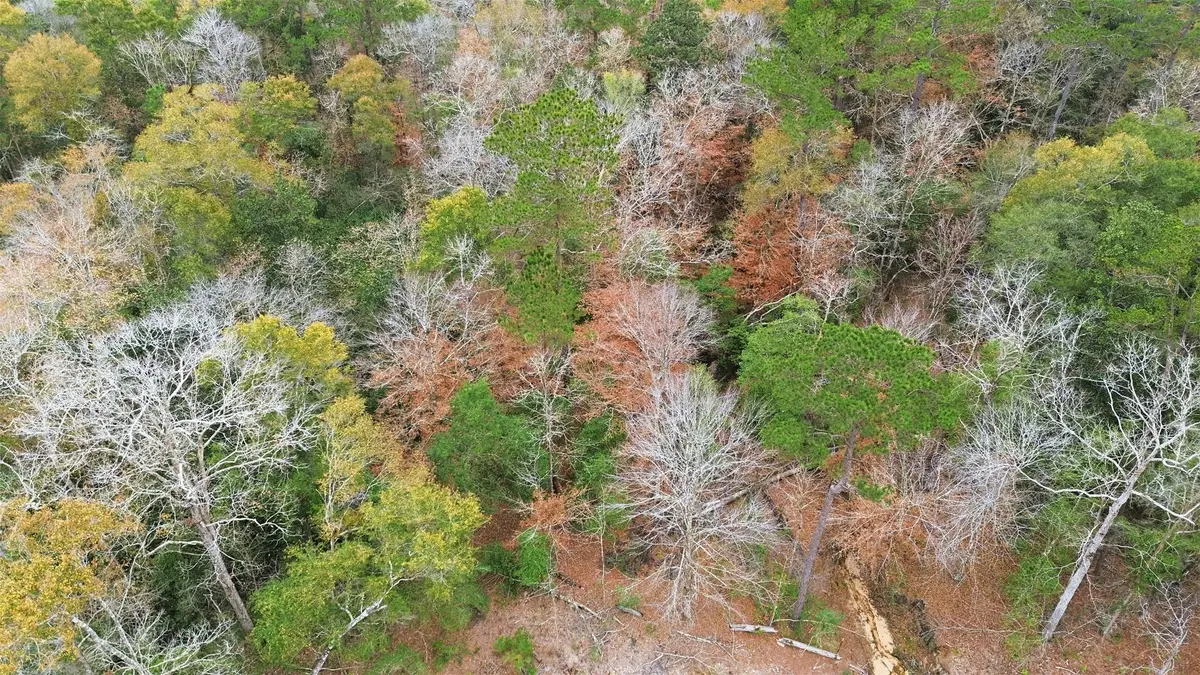 TBD Lady Luck Pid 246444 Lane, Livingston, TX 77351 - #1