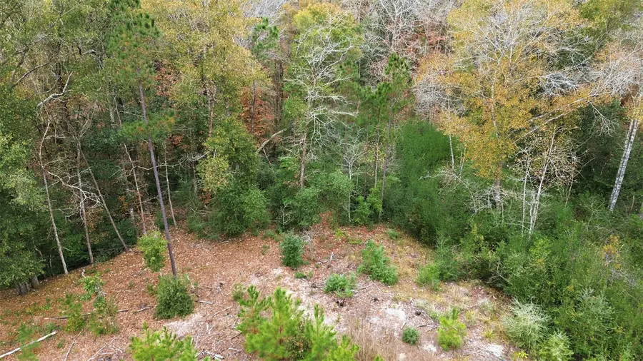 TBD Lady Luck Pid 246444 Lane, Livingston, TX 77351 - #2