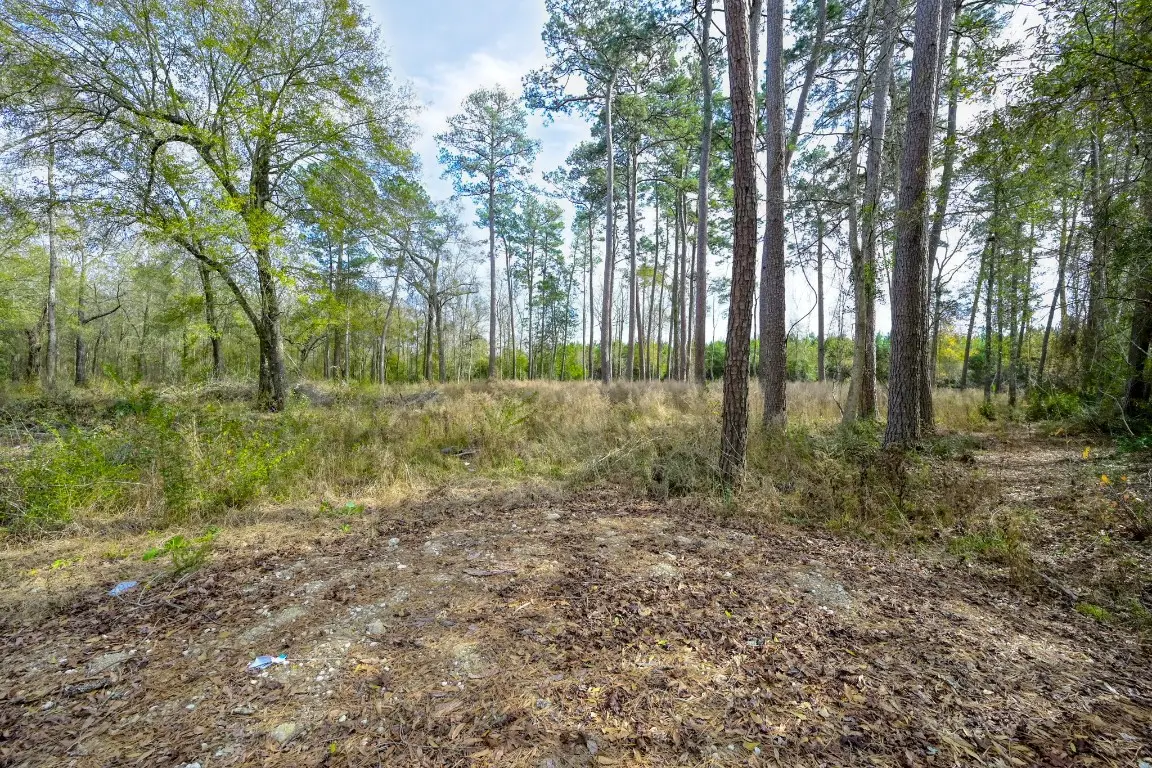 480 County Road 3188, Cleveland, TX 77327 - #1