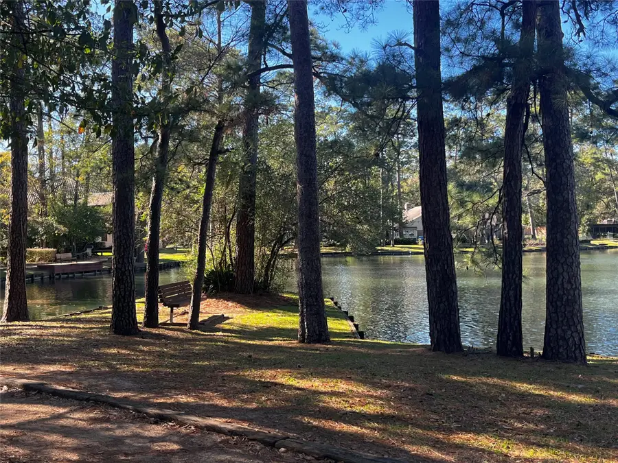 15 Lorrielake Lane, Houston, TX 77024 - #2