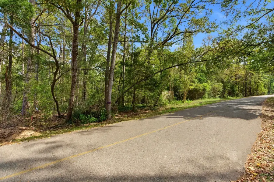 11091 Newton Circle, Conroe, TX 77303 - #3