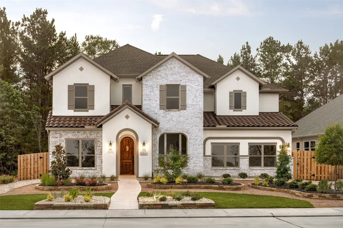 42022 Lajitas Way, Montgomery, TX 77316 - #1