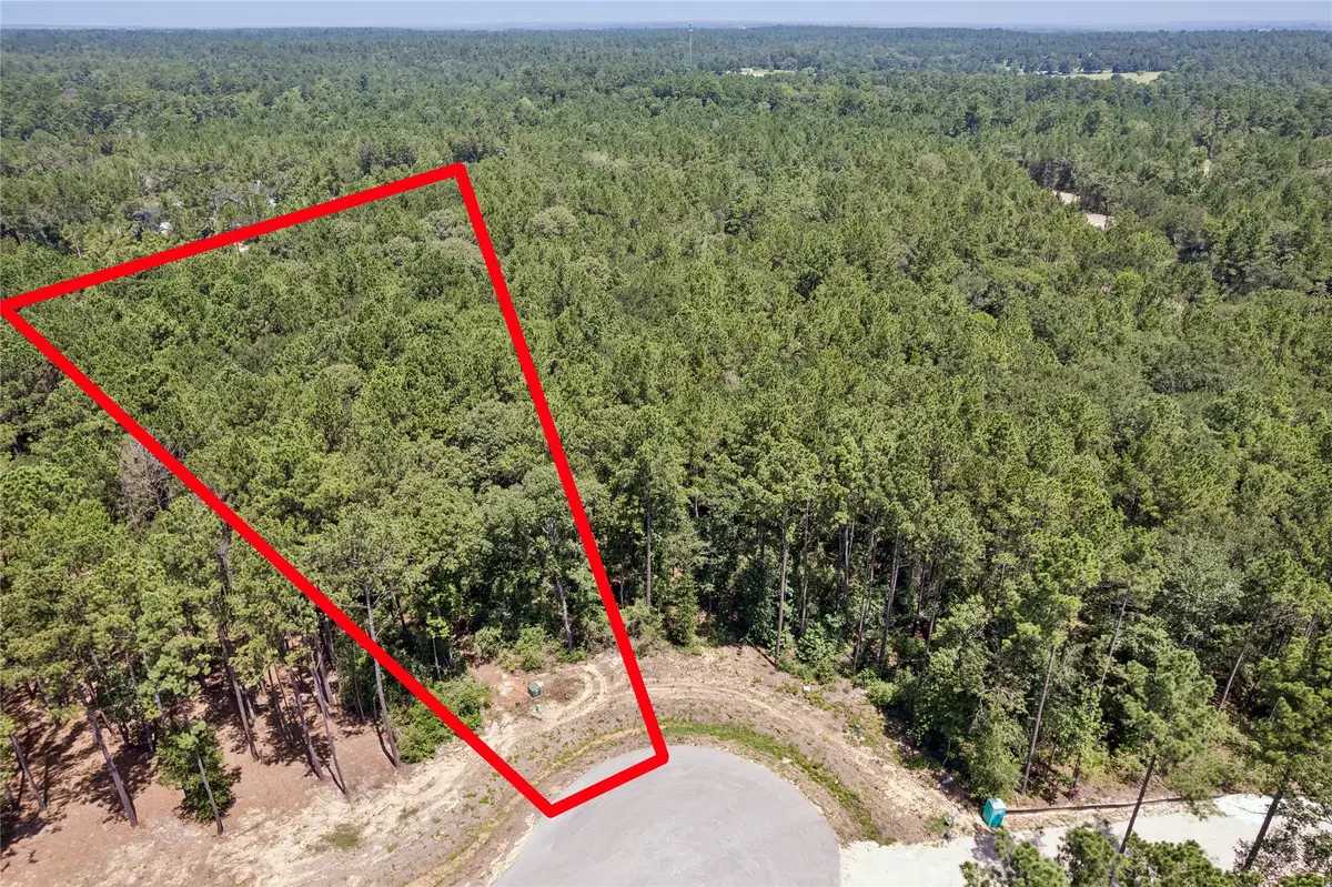 25316 High Meadow Drive W, Montgomery, TX 77316 - #1
