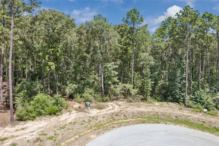 25316 High Meadow Drive W, Montgomery, TX 77316 - #3