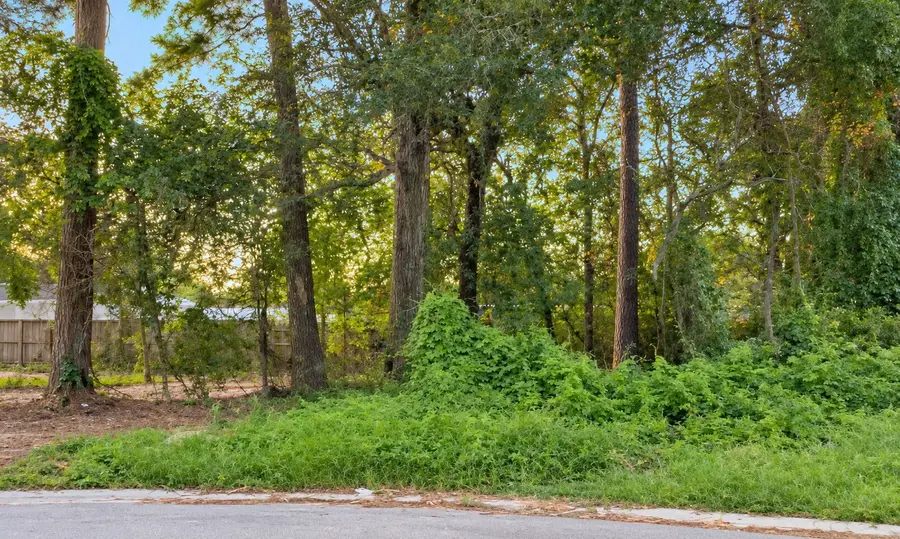 11302 Mission Road, Houston, TX 77065 - #2