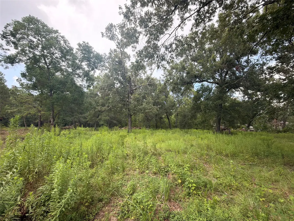 0 County Road 6502 W, Dayton, TX 77535 - #1