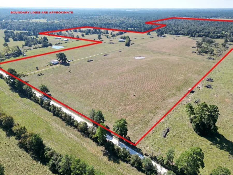 6464 County Road 146, Bedias, TX 77831 - #3