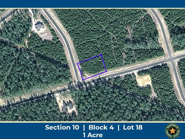 15797 Forest Grove Drive, Willis, TX 77378