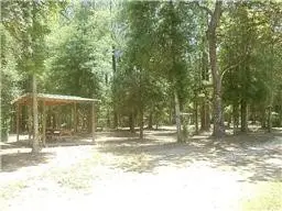 27732 Colapis Drive, Splendora, TX 77372 - Image #3