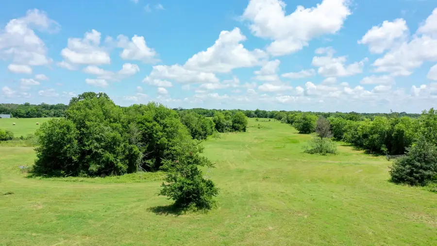 4853 Fm 1428, Madisonville, TX 77864 - #3