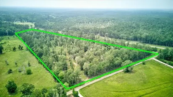 254 County Road 3063, Kirbyville, TX 75956